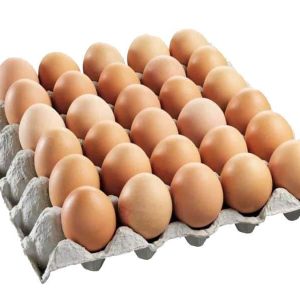 Organic Local brown eggs X 15