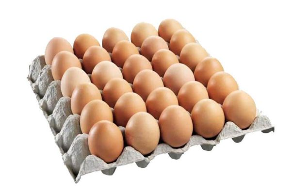 Organic Local brown eggs X 24