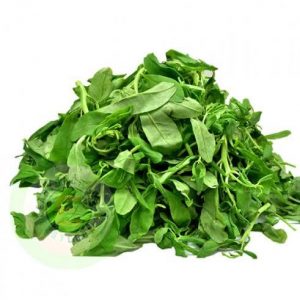 Water leaf Vegetable 1 pack