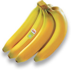 Organic Fresh Premium Banana 1kg