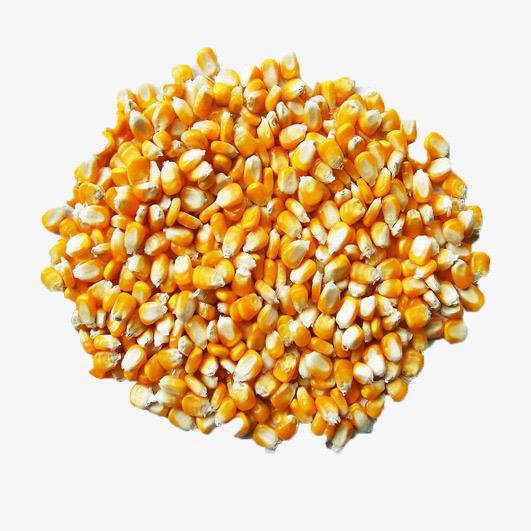 Yellow Dry Maize Corn 500g