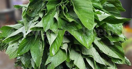 Nigerian Spinach Efo Tete 1 bunch - African Market Dubai