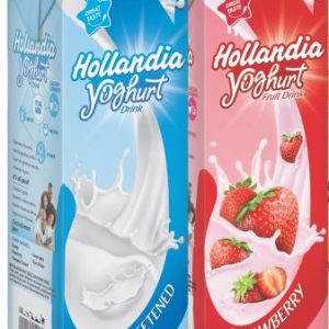 Hollandia Yoghurt Plain and Strawberry x 2