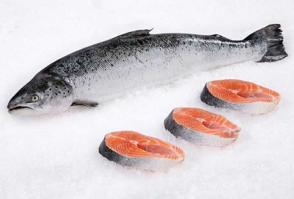 Organic Salmon Fish 500g