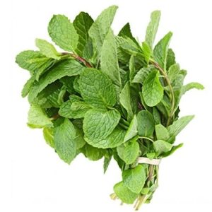 Organic Fresh Mint Leaves 100g