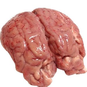 Beef Brain 1kg
