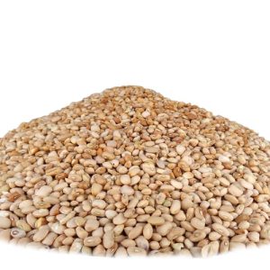 Dirt Free Ready to Cook Brown Beans 5kg