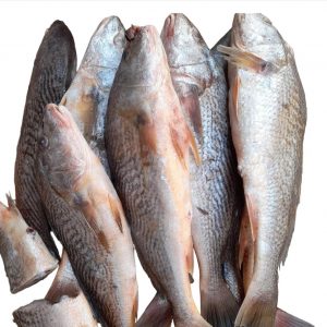 Croaker fish (West African) Ready to cook 1kg