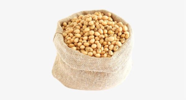 West Africa Soya Bean Seeds 500g