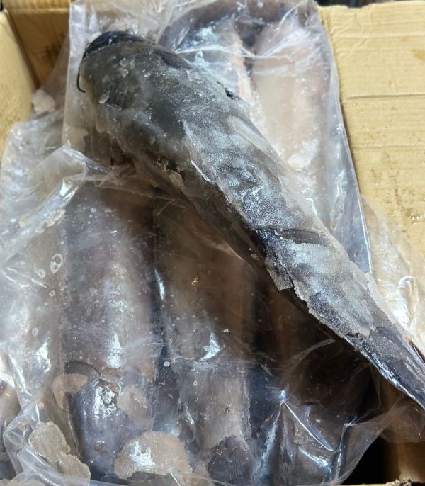 Nigerian Frozen Catfish 5kg