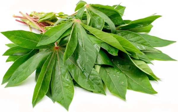 Cassava Leaf Frozen 250g