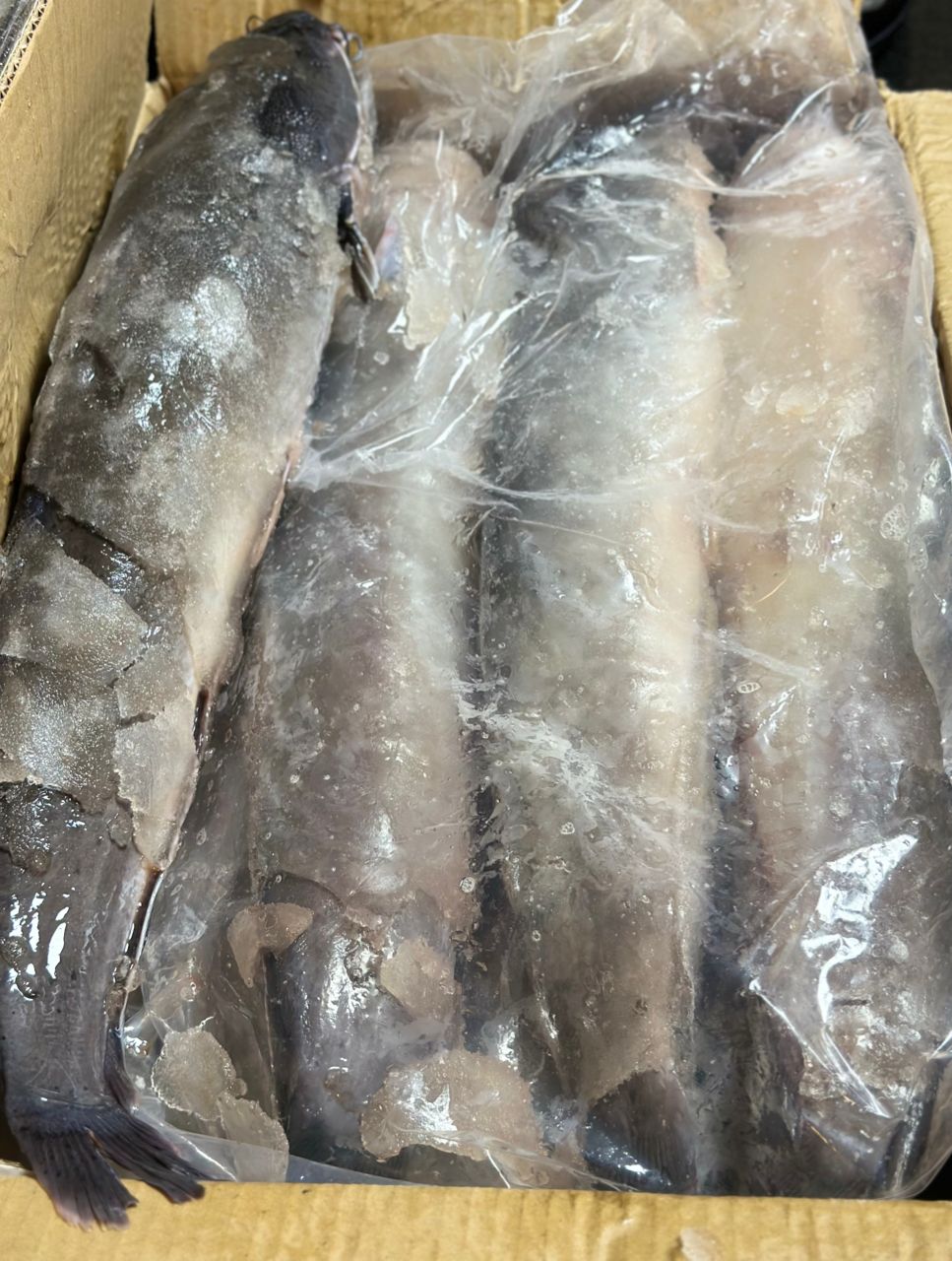 Nigerian Frozen Catfish 5kg