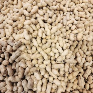 African Raw Groundnut (Peanut) With Shell 500g