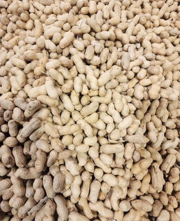 African Raw Groundnut (Peanut) With Shell 1kg